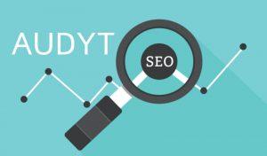 Read more about the article Audyt SEO strony internetowej i bloga – na czym polega?